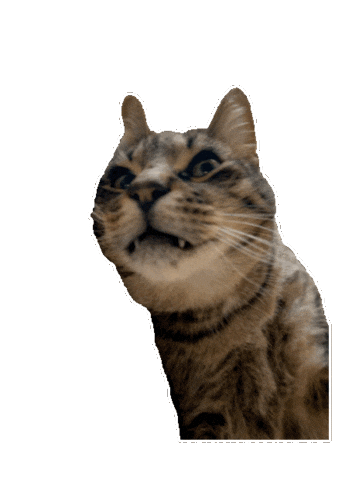 Jacksmemeshop Sticker