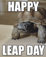 Leap Year Frog GIF by Wonderful Pistachios