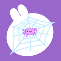 Spider Web Animation GIF by Molang