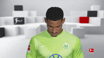 Vfl Wolfsburg Smile GIF by Bundesliga