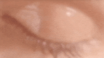 Rainsford GIF