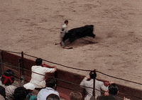 Bull-fight GIFs - Get the best GIF on GIPHY