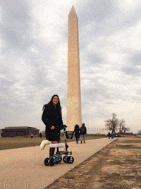 Leg-scooter GIFs - Get the best GIF on GIPHY Leg-scooter GIFs - Get the best GIF on GIPHY