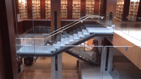 Books Reading GIF by Kansas City Public Library - Find & Share on GIPHY