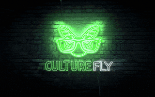 CultureFly night neon light fly GIF