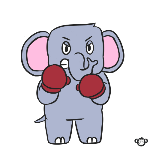 zoogif angry mad boxing elephant GIF