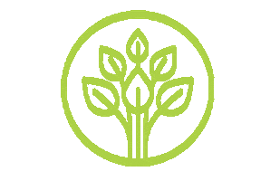 Miami Sticker by Holi vegan kitchen