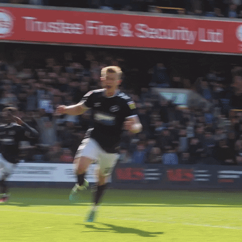 The Den Goal GIF by MillwallFC
