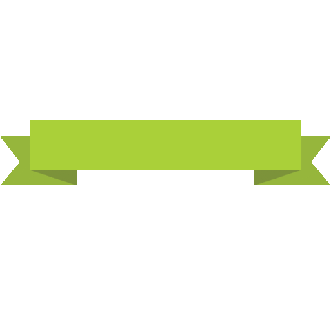 TravelwiseRD Sticker