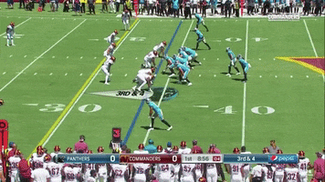 GIF by Roaring Riot