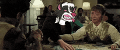 Dsdc GIF