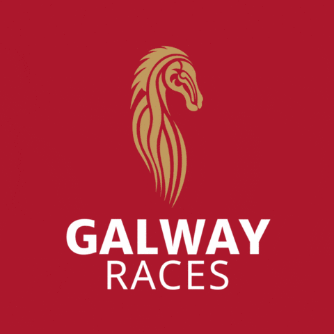 Horseracing GIF by Galway Races
