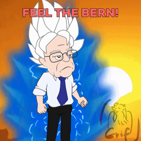 Bernie Sanders GIF