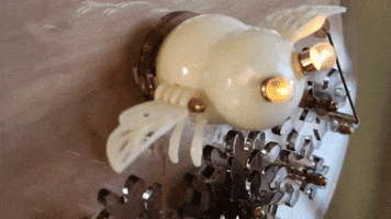 Animated GIF
