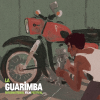 Man Working GIF by La Guarimba Film Festival
