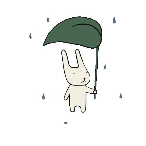 Rain Sticker