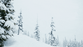 Skiing GIF by Tourism Whistler