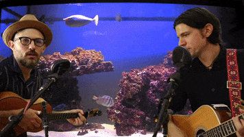 Adult Swim GIF by The Avett Brothers
