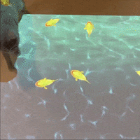 Cat Piranha GIF by LUMOplay