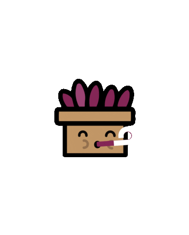 Party Celebration Sticker by Shookit