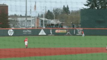 Ncaa GIF by Oregon State Baseball