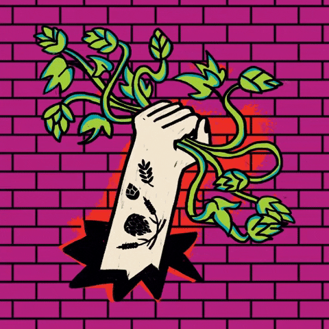 Warszawski Festiwal Piwa GIF