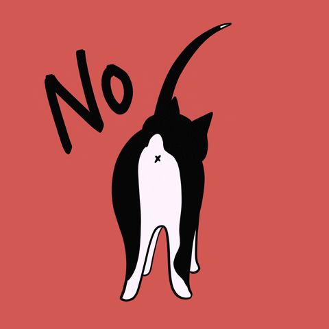 Buero Lyndgrun GIF