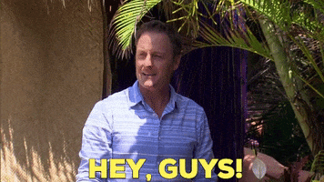 Chris Harrison Bip GIF by Bachelor in Paradise