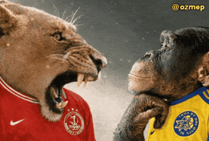 Maccabi Tel Aviv Football GIF