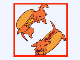 La_Ardillin dog dogs hotdog dachshund GIF