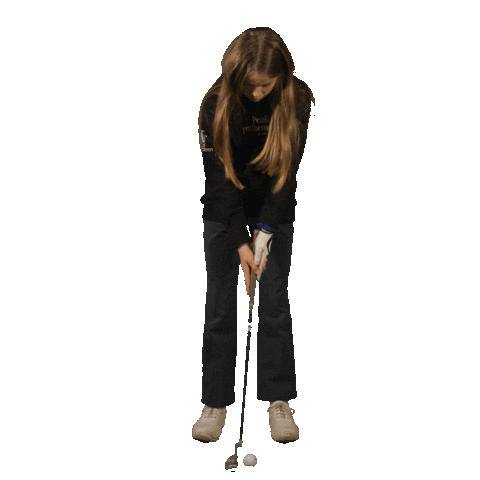Golf Vlaanderen Sticker