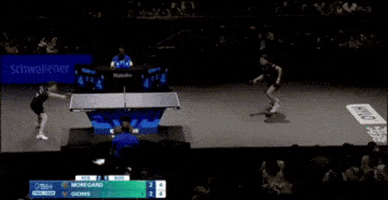 Spin Around Table Tennis GIF