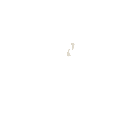 Nova Aurora Group Sticker