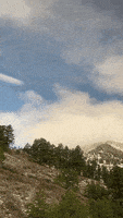Winter Wonderland Loop GIF by Amtrak