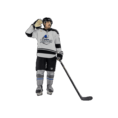 Hockey Sticker by Wichita Thunder