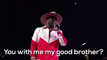 Big Daddy Kane GIF by VERZUZ