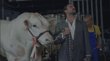 Gift Horse Idles GIF by Partisan Records