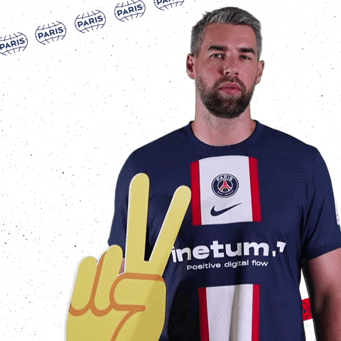 Luka Karabatic Sport GIF by Paris Saint-Germain Handball
