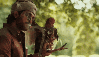 Allu Arjun Alvp GIF