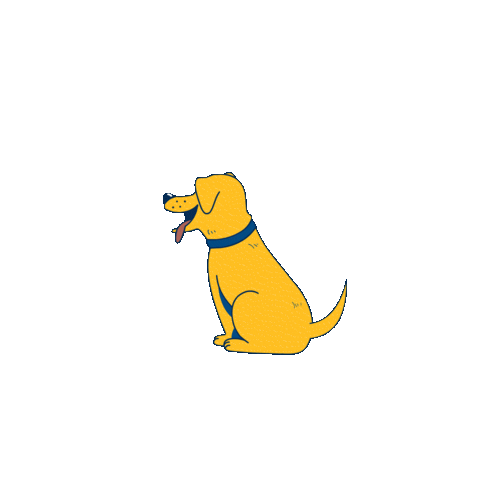 Golden 1 Credit Union Sticker