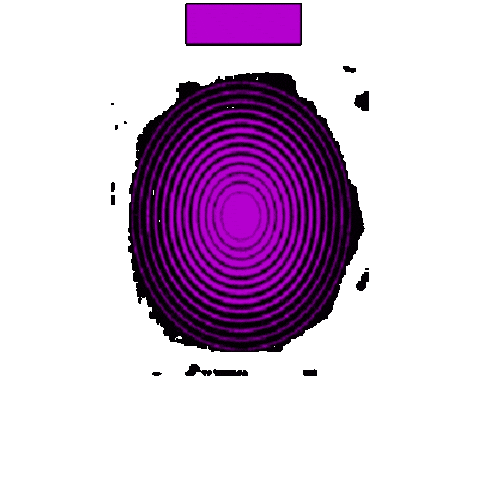 Festival Musica Sticker by Green Cow Music