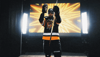 Hockey Ohl GIF by Brantford Bulldogs