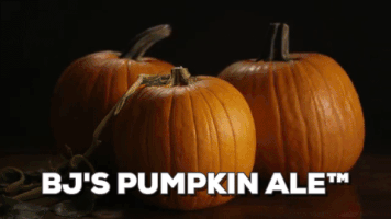 200.gif?cid=fc005b08e5b2a69fe82d029c970cb13f006a1486142229b9&rid=200.gif&ct=g