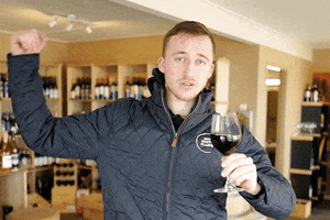 Dsf GIF by Den Sidste Flaske