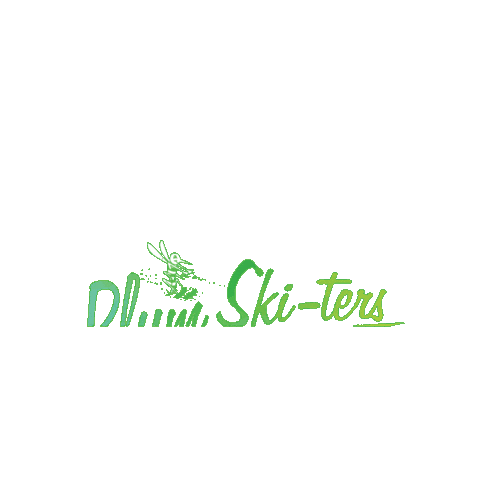 Water Skiing Sticker by Plum Ski-ters Water Ski Show Team