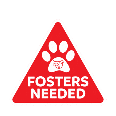 Mhs Foster Dog Sticker by maui humane society