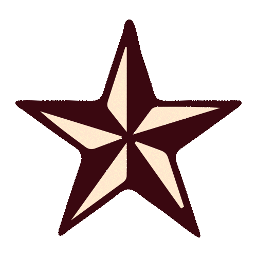 Estrella Rumbazo Sticker by Rumbazo Festival