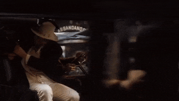 Godfather Part Ii GIF