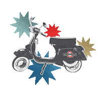 Msqgifs Sticker by ModSquad