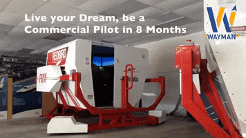 Flight Simulator Pilot GIF